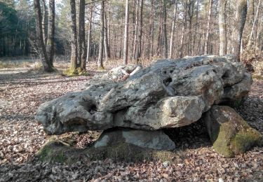 Trail Walking Longny les Villages - Longny-au-Perche (Longny-les-Villages) - Rémalard 16 km - Photo