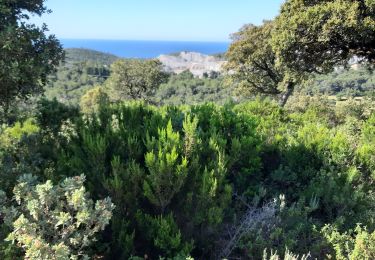 Tocht Stappen Saint-Raphaël - les Ferrières,l'esterel. - Photo