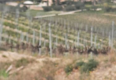 Trail Nordic walking Crestet - MN : CRESTET (Vaison la Romaine ) - Photo