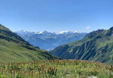 Percorso Mountainbike Beaufort - Du lac de Sant Guerin au col de Coin - Photo