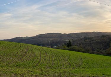 Tour Wandern Kiischpelt - Enscherange 8,2 km - Photo