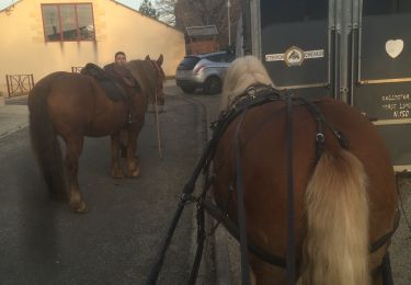 Tour Kutsche fahren Frontenac - Frontenac monté/attelé - Photo