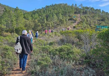 Trail Walking Fréjus - 07/02/24 gerard col de l'auriasque - Photo
