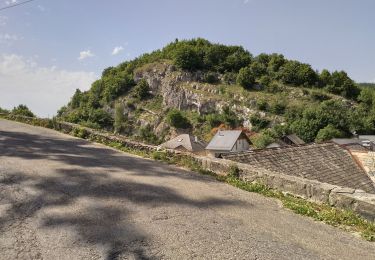 Excursión Senderismo Entrelacs - Bellevedere de la Chambotte  - Photo