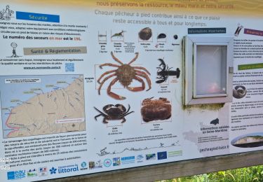 Trail Walking Saint-Pierre-en-Port - Port Saint Pierre 20250621 - Photo
