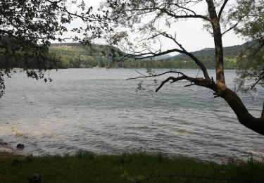 Trail Walking Le Lac-d'Issarlès - Tour du lac d'Issarlès - Photo