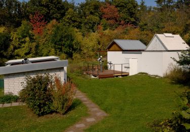 Randonnée A pied Altenbamberg - VITALtour Rheingrafenstein - Photo