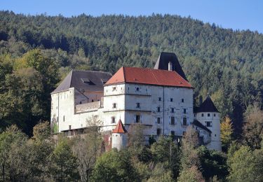 Tour Zu Fuß Feistritz am Wechsel - Feistritz am Wechsel - Hollabrunn über Steinbichel - Photo