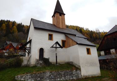 Excursión A pie Scheifling - Obere Feßnachrunde - Photo