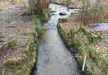 Tocht Stappen Auffargis - Pont de granval Auffargis  - Photo