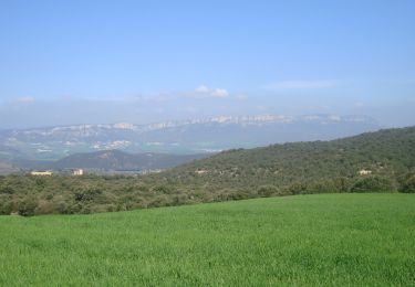 Excursión Senderismo Estella - Camino Francés - Etp6 - Estella - Los Arcos - Photo