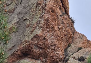 Trail Walking Saint-Raphaël - cap roux rocher barthelemy - Photo