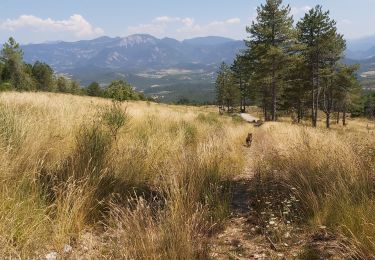 Tocht Stappen Montmaur-en-Diois - x - Photo