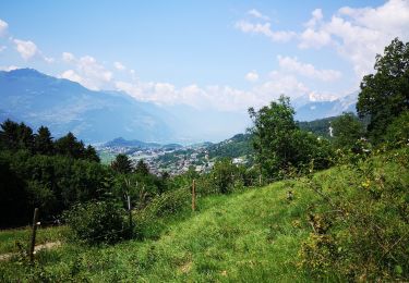 Trail Nordic walking Arbaz - 25.06.20 Bisse de Grimisuat  - Photo