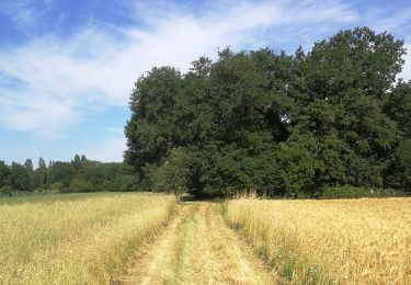 Tocht Stappen Launaguet - TT21 Fonbeauzard Borderouge - Photo