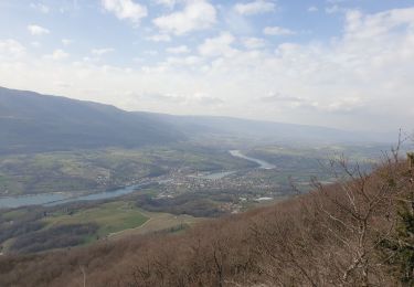 Percorso Mountainbike Vallières-sur-Fier - seyssel  - Photo