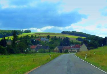 Excursión A pie Tiefenthal - Hiwweltour Tiefenthaler Höhe - Photo