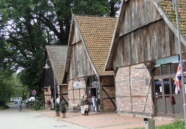 Tour Zu Fuß Wunstorf - S1 Ufer-Moorwiesenweg (Steinhuder Rundweg) - Photo