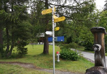 Trail Nordic walking Arbaz - 23.07.20 Anzère  - Photo