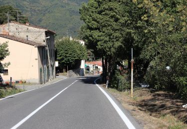 Trail On foot Pistoia - Via Francesca della Sambuca - Photo