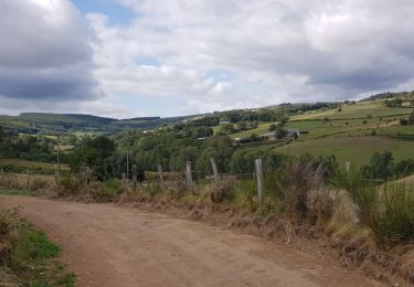 Randonnée Marche nordique Trélans - Trélans Aubrac - Croix du Pal  - Photo