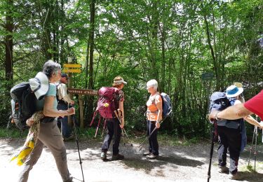 Trail Walking Asson - ASSON Igon Touyas de Capsus 