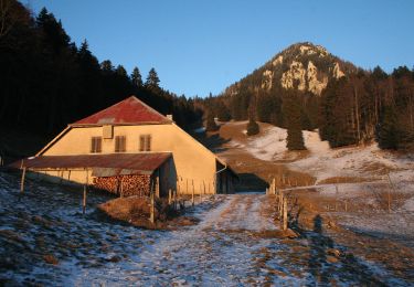 Tocht Te voet Sainte-Croix - La Gittaz-Col de l'Aigullon - Photo