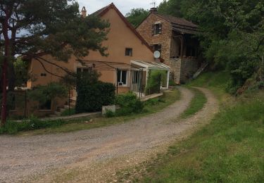 Randonnée Marche La Chapelle-de-Bragny - Balleure  - Photo