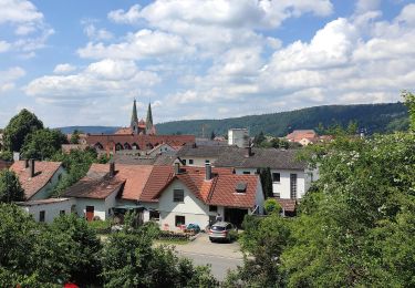 Tocht Te voet Beilngries - Über den Altmühlberg - Photo