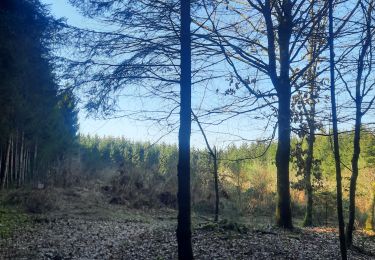 Trail Walking Bertrix - marche adeps biourge - Photo