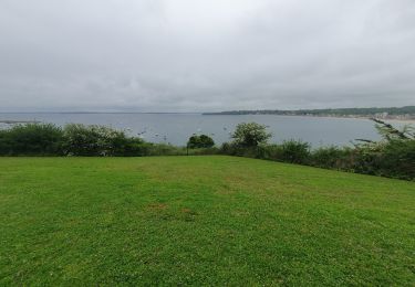 Tour Wandern Saint-Cast-le-Guildo - Ballade à Saint-Cast - Photo