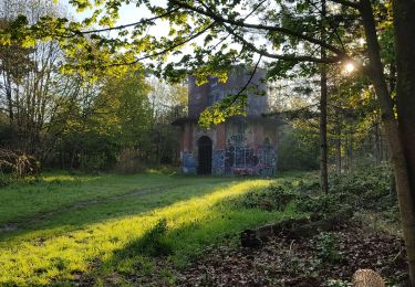 Randonnée Marche Boulogne-Billancourt - Le bois de Boulogne - Photo