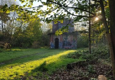 Tour Wandern Boulogne-Billancourt - Le bois de Boulogne - Photo