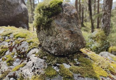 Excursión Senderismo  - PREIKESTOLEN et MOSLIFJELLET - Photo