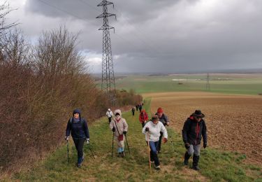 Excursión Senderismo Laines-aux-Bois - Laine au bois - Photo