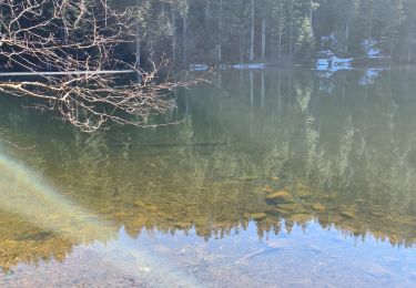 Randonnée Marche Vexaincourt - lac de la Maix - Photo