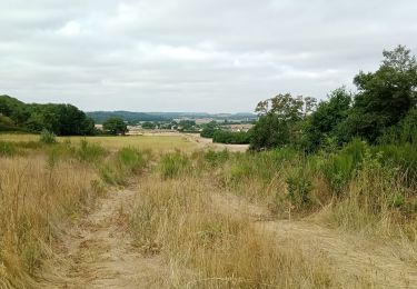 Tour Mountainbike Coincy - Sortie du 31 Juillet 2022 - Photo