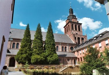 Randonnée A pied Sulzbach/Saar - Brennender Berg – Großer Rundweg - Photo