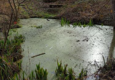 Trail Walking Cernay-la-Ville - Vaux de Cernay - Photo