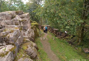 Randonnée Marche La Broque - château de Salm, Chatte pendue - Photo