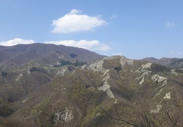 Tour Zu Fuß Bagno di Romagna - IT-185 - Photo