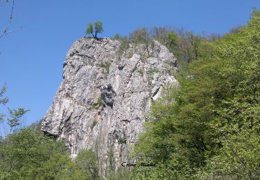 Percorso A piedi  - Circuitul versantului drept - Photo