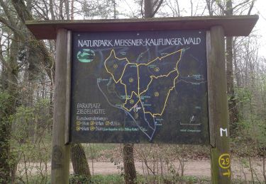 Tocht Te voet Kaufungen - Kaufungen, N2 - Panoramaweg - Photo