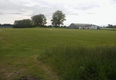 Tour Zu Fuß Sierksdorf - Wiesen- und Wellenrunde, Sierksdorf - Photo