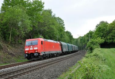 Tocht Te voet Langerwehe - Langerwehe Wanderrundweg Nr. 11 - Photo