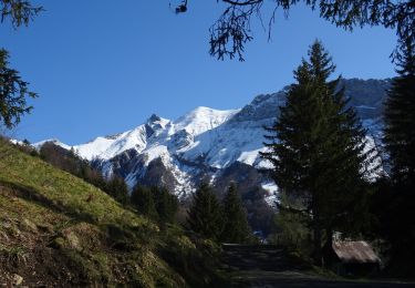 Tocht Stappen Jarsy - Croix d'Allant et Plan de la Limace  - Photo