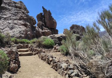 Trail Walking La Orotava - Les Roches de Garcia - Photo