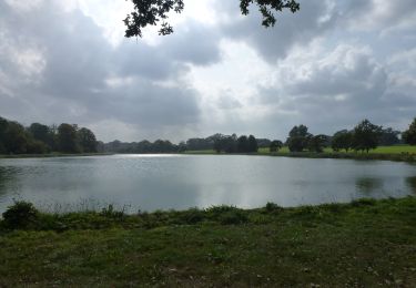 Tocht Te voet Broadland - Blickling Estate Green Route - Photo