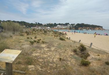 Randonnée Marche Sant Feliu de Guíxols - Sagaro, Espagne Sa Conva - Photo