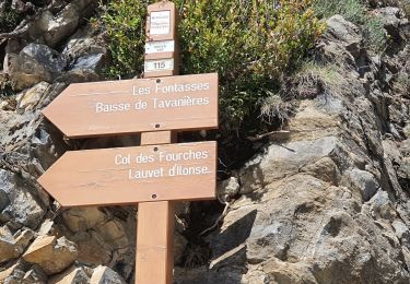 Trail Walking Pierlas - SINNE PAR PIERLAS - Photo